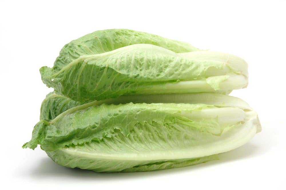 Romaine