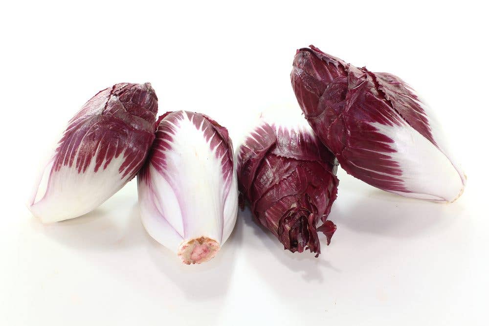 chicory-endive