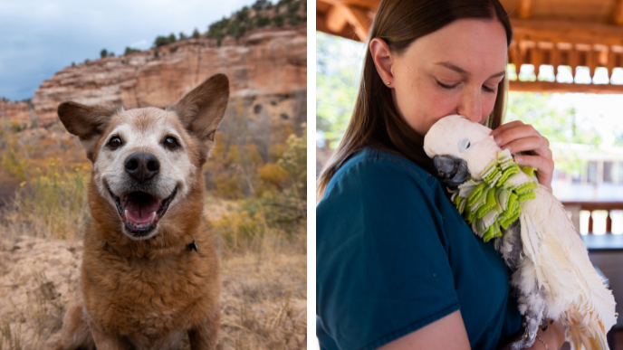 Best Friends Animal Sanctuary 